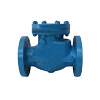 swing-check-valve