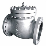 Check Valves for Thermal Fluids